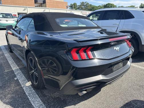 SHADOW BLACK 2024 Ford Mustang EcoBoost Premium