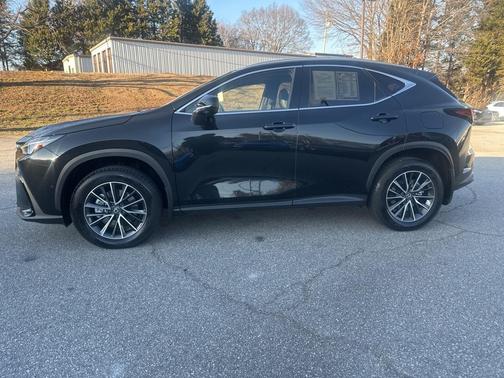 2024 Lexus NX 350h Luxury