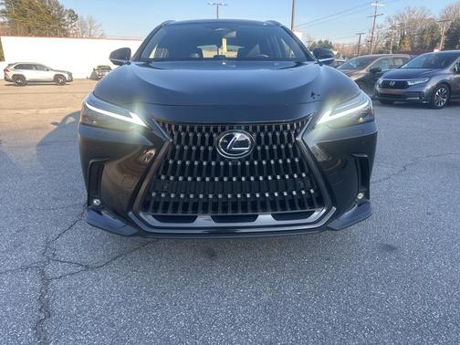 2024 Lexus NX 350h Luxury