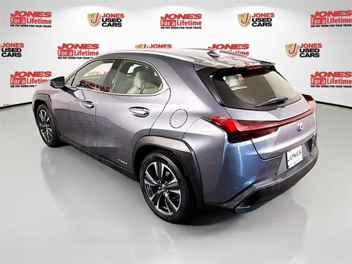 2019 Lexus UX 250h 
