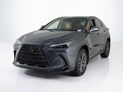 2025 Lexus NX 250 Base