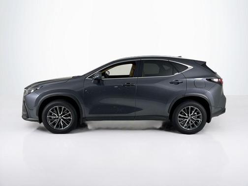 2025 Lexus NX 250 Base