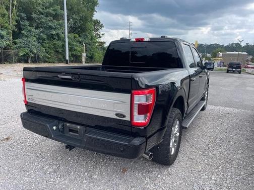 2022 Ford F-150 Platinum