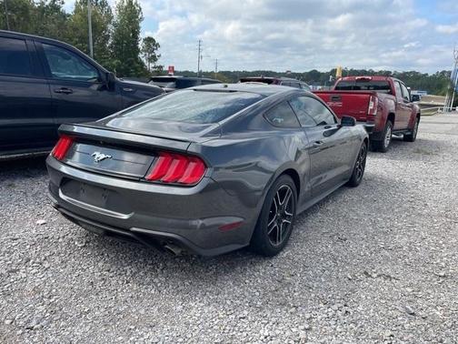 2019 Ford Mustang EcoBoost