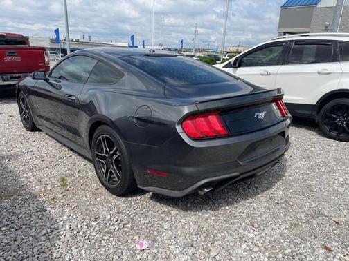 2019 Ford Mustang EcoBoost