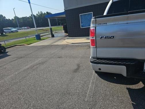 2013 Ford F-150 Platinum