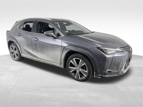 2019 Lexus UX 200 Luxury