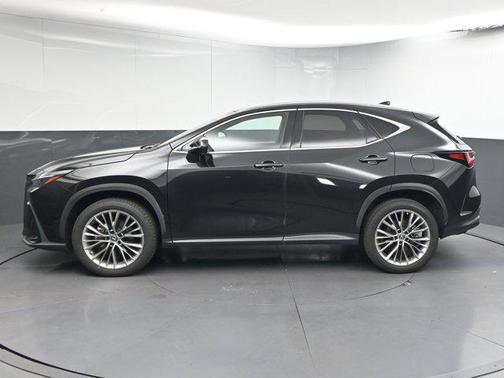 2022 Lexus NX 350h Premium