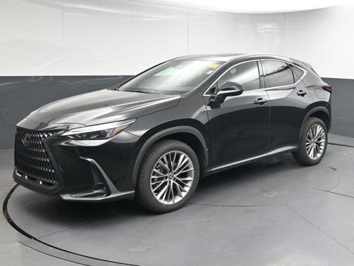 2022 Lexus NX 350h Premium
