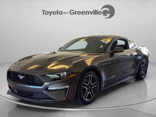 Magnetic 2018 Ford Mustang EcoBoost