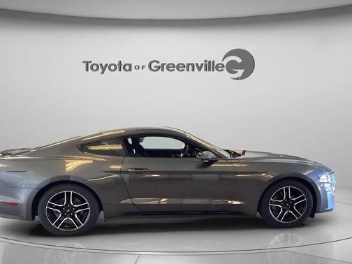Magnetic 2018 Ford Mustang EcoBoost