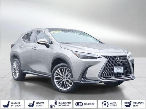 2025 Lexus NX 350 Luxury