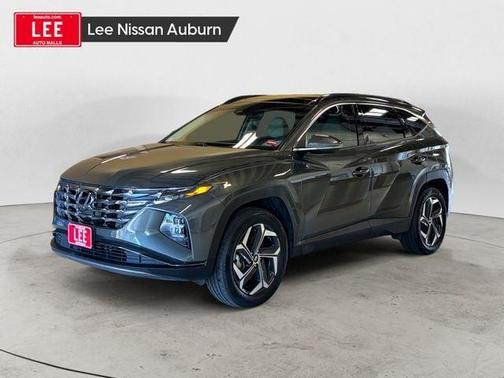 Amazon Gray 2024 Hyundai TUCSON Hybrid Limited