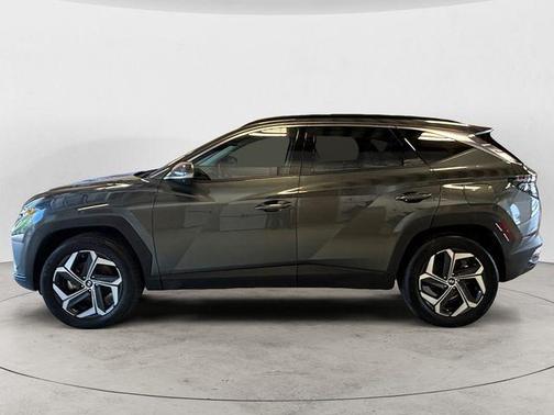 Amazon Gray 2024 Hyundai TUCSON Hybrid Limited