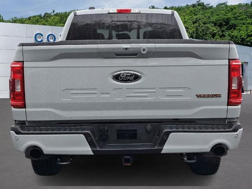AVALANCHE 2023 Ford F-150 TREMOR