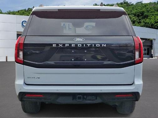 SPACE SILVER METALLIC 2025 Ford Expedition ACTIVE