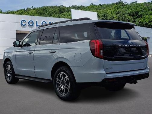 SPACE SILVER METALLIC 2025 Ford Expedition ACTIVE