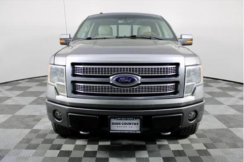 2010 Ford F-150 Platinum