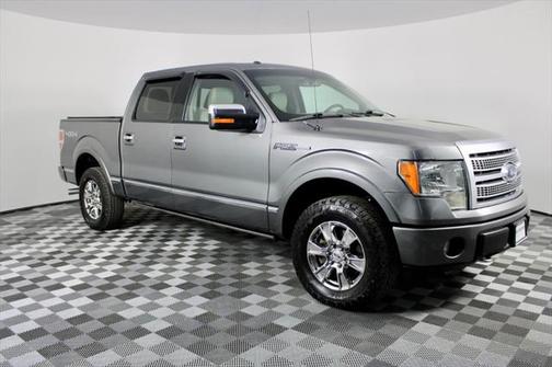 2010 Ford F-150 Platinum