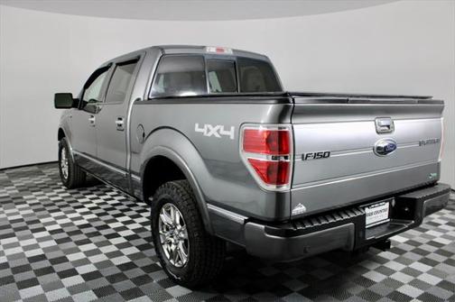 2010 Ford F-150 Platinum