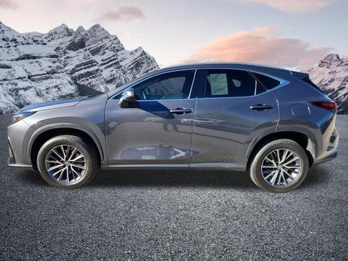 2023 Lexus NX 350 Premium