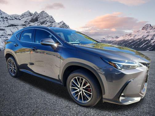 2023 Lexus NX 350 Premium