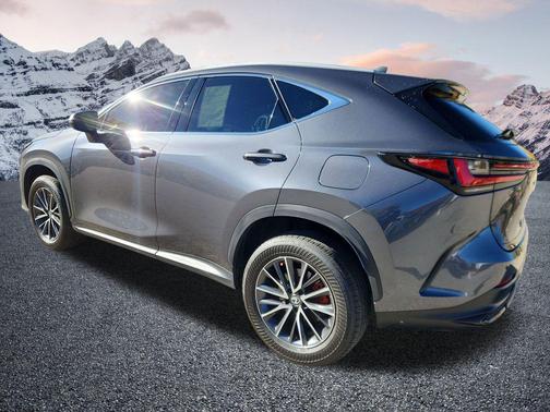 2023 Lexus NX 350 Premium