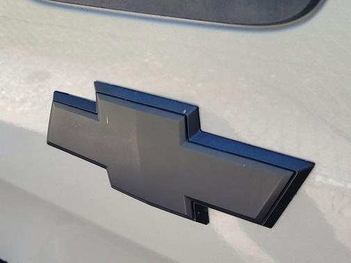 2008 Chevrolet Silverado 1500 Work Truck