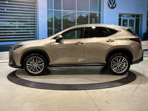2023 Lexus NX 350h Premium
