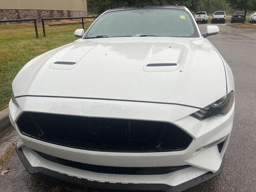 2019 Ford Mustang GT