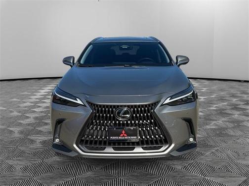 2022 Lexus NX 450h+ Luxury