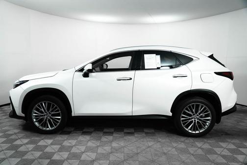 2024 Lexus NX 350 Luxury