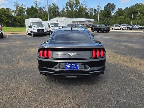 2023 Ford Mustang EcoBoost