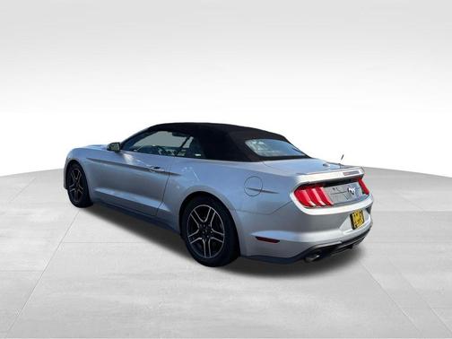 Silver 2019 Ford Mustang EcoBoost Premium