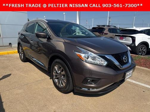 Java Metallic 2016 Nissan Murano SL