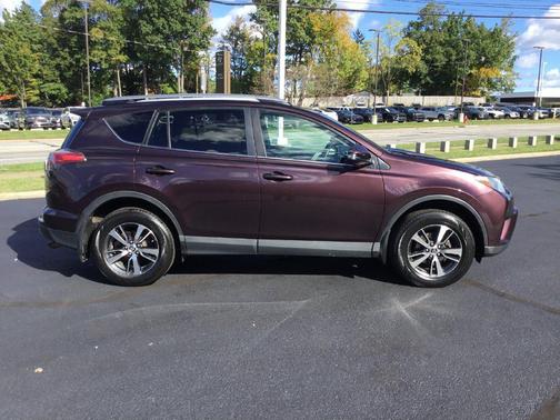 Black Currant Metallic 2017 Toyota RAV4 XLE