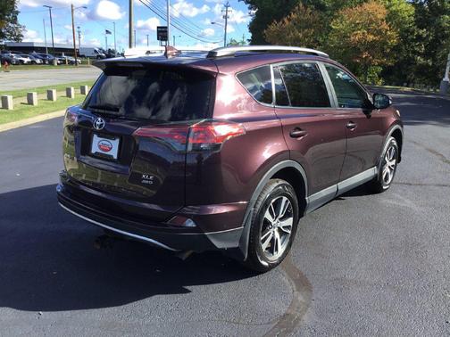 Black Currant Metallic 2017 Toyota RAV4 XLE