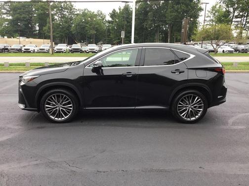 Caviar 2024 Lexus NX 350 Luxury