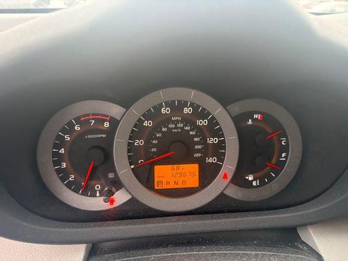 Pyrite Mica 2010 Toyota RAV4 Base