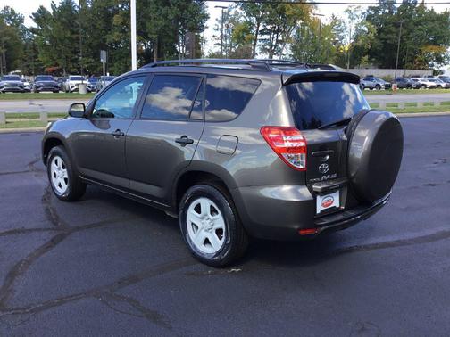 Pyrite Mica 2010 Toyota RAV4 Base