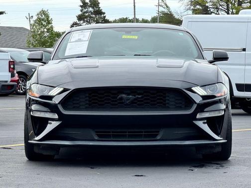 Shadow Black 2019 Ford Mustang EcoBoost