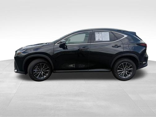 2022 Lexus NX 250 Premium