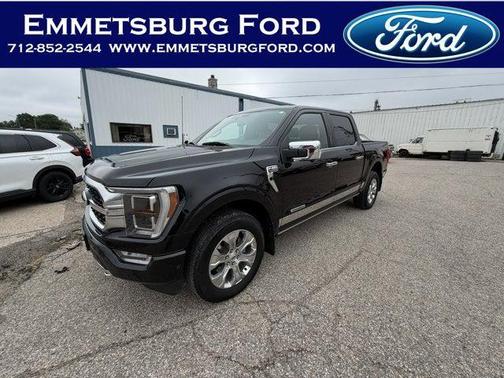 Agate Black Metallic 2022 Ford F-150 Platinum