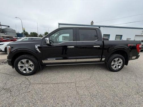 Agate Black Metallic 2022 Ford F-150 Platinum