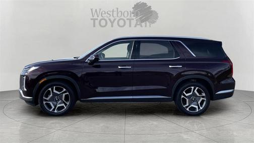 2024 Hyundai PALISADE SEL