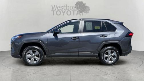 Magnetic Gray Metallic 2025 Toyota RAV4 XLE