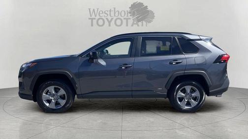 Magnetic Gray Metallic 2025 Toyota RAV4 Hybrid LE