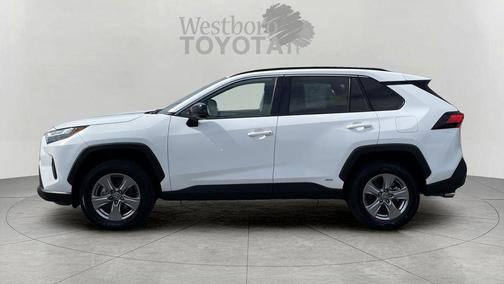 Ice 2025 Toyota RAV4 Hybrid LE