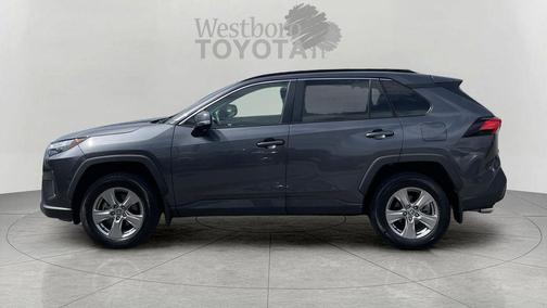 Magnetic Gray Metallic 2023 Toyota RAV4 XLE