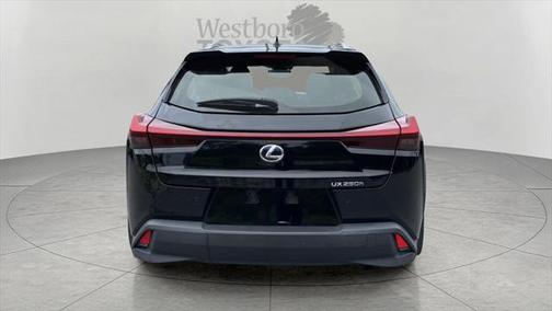 2020 Lexus UX 250h Base